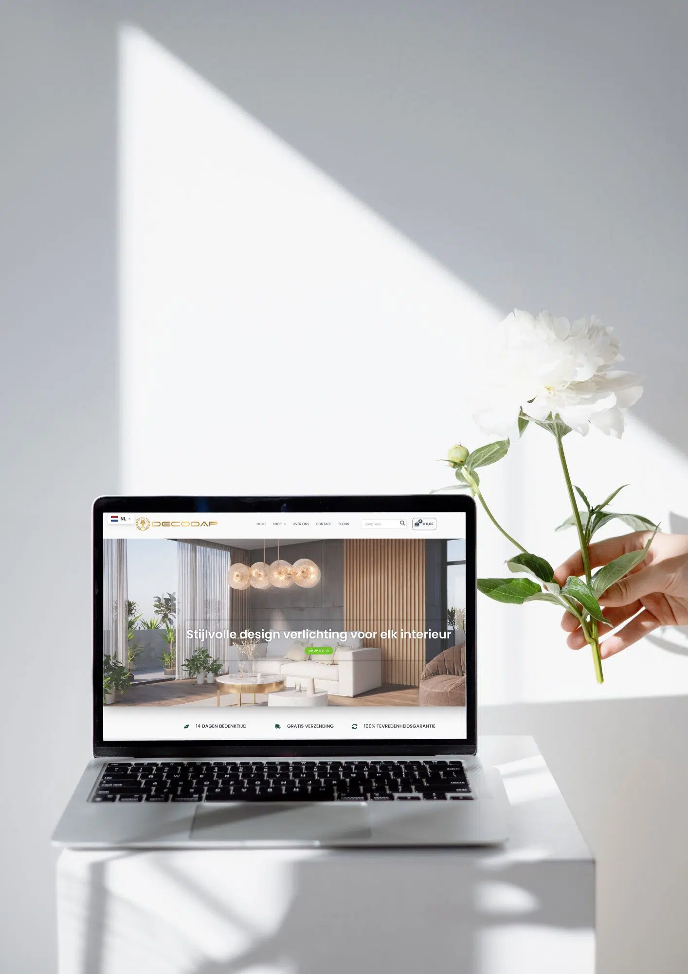 Decodap volledige website en alle teksten gemaakt